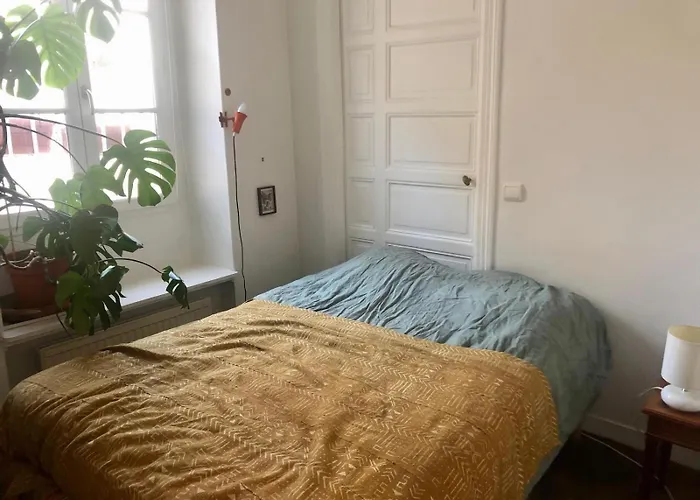 Charming Apartment Paris Saint Germain Saint Michel